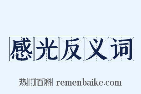 感光反义词是什么意思的图片